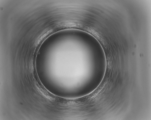 X0000073920390200608111228