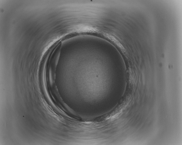 X0000073920391200608111228