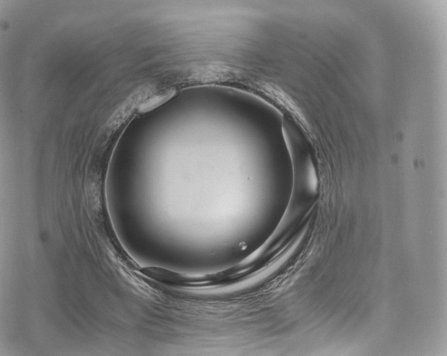 X0000073920393200608111228