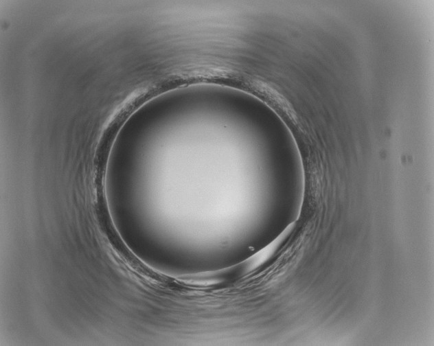 X0000073920395200608111228