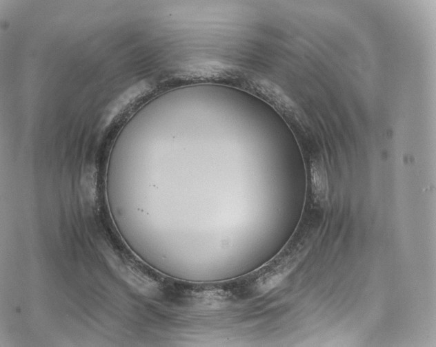 X0000073920396200608111228