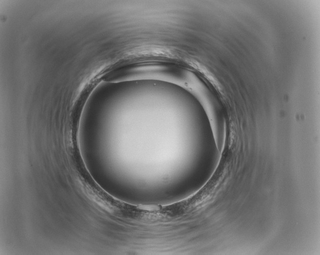 X0000073920399200608111228