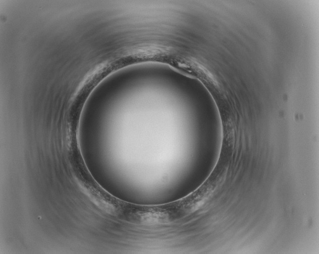 X0000073920400200608111228