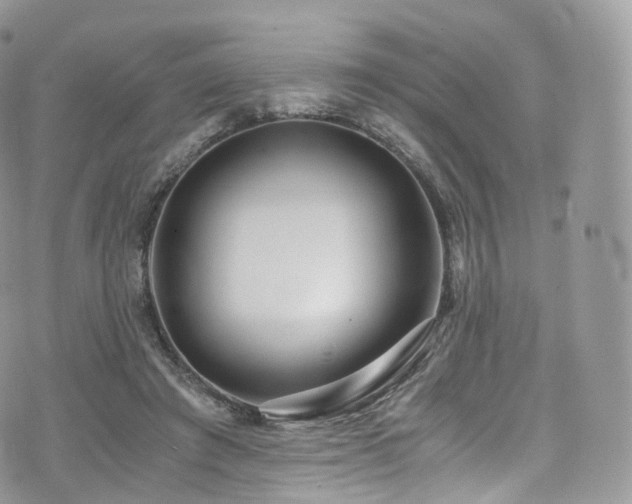 X0000073920401200608111228