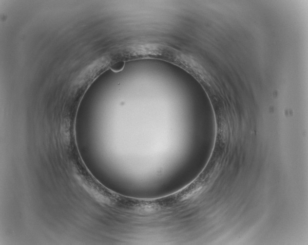 X0000073920402200608111228