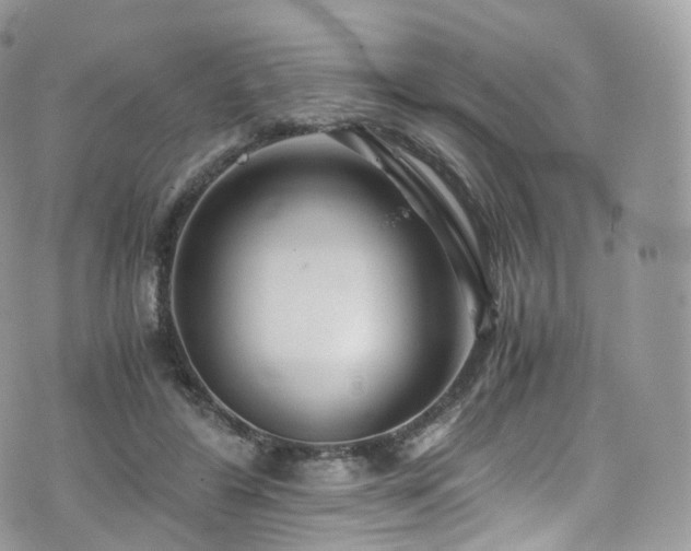 X0000073920404200608111227