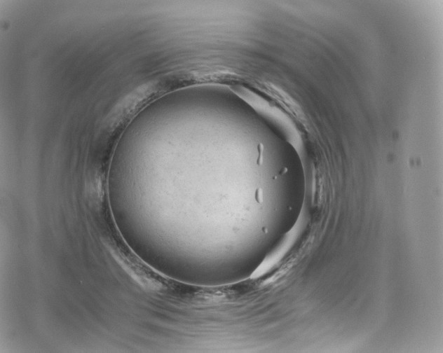 X0000073920405200608111227