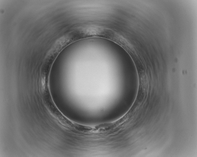 X0000073920406200608111227