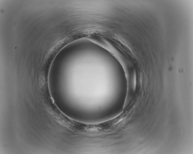 X0000073920407200608111227