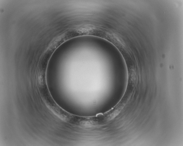 X0000073920408200608111227