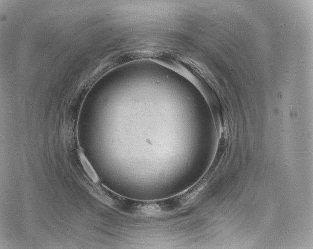 X0000073920409200608111227