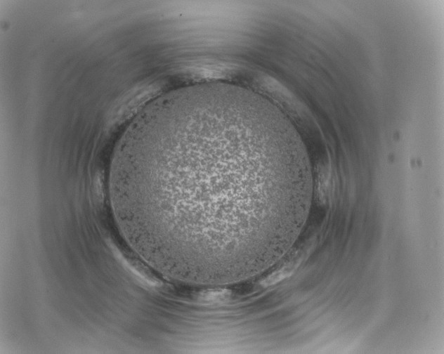 X0000073920410200608111227