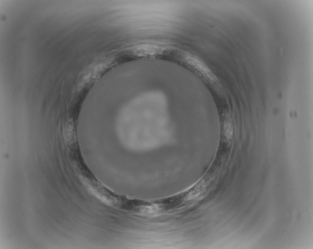 X0000073920411200608111227