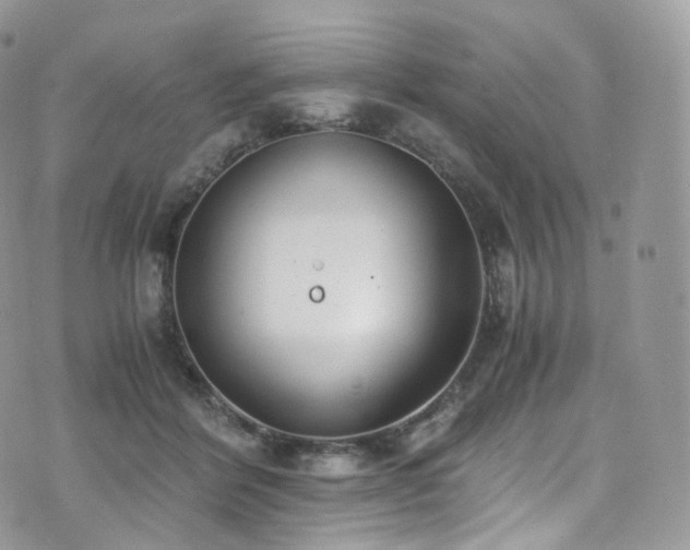 X0000073920412200608111227