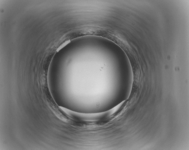 X0000073920413200608111227