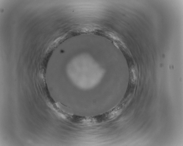 X0000073920415200608111227