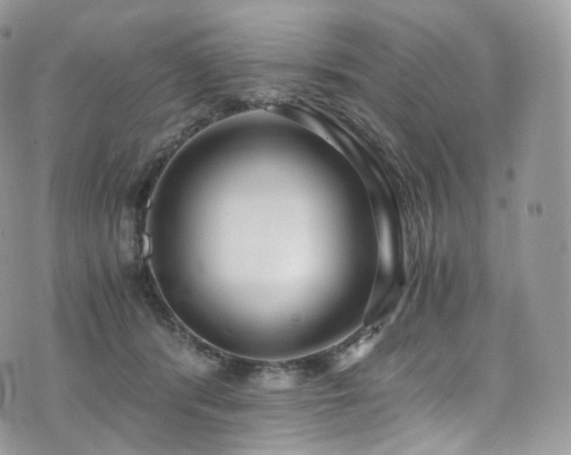 X0000073920416200608111227