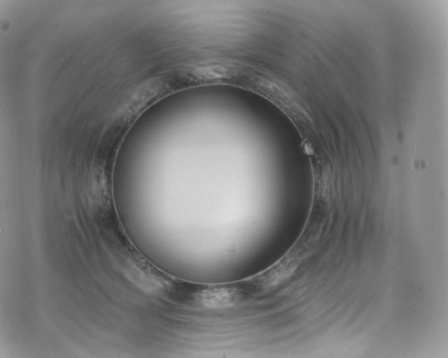 X0000073920418200608111227