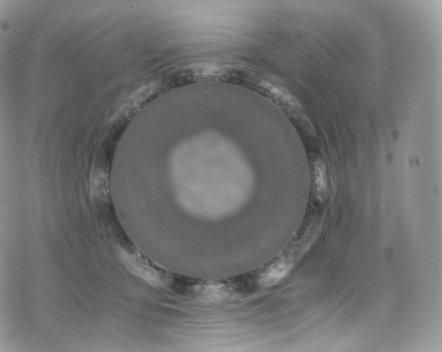 X0000073920419200608111227