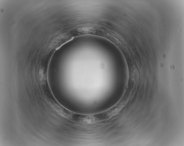 X0000073920420200608111227