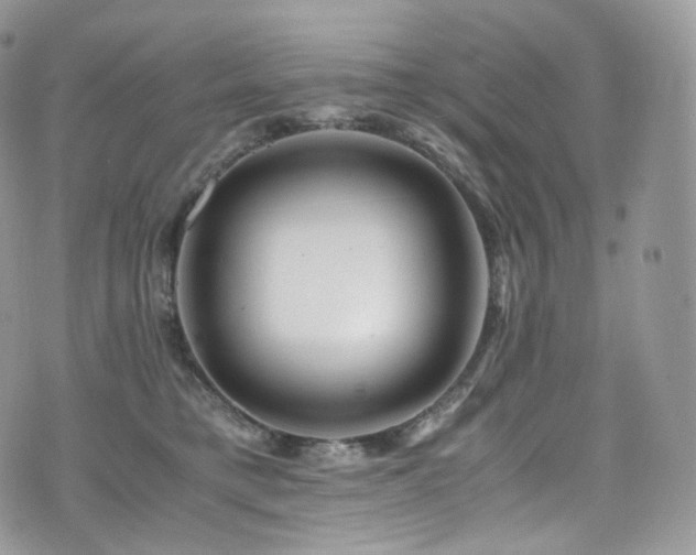 X0000073920421200608111227