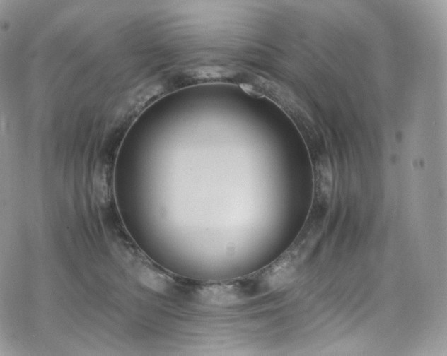 X0000073920422200608111227