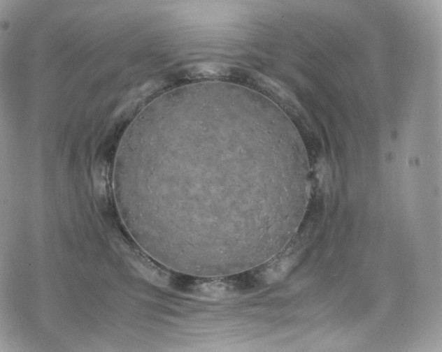 X0000073920423200608111227