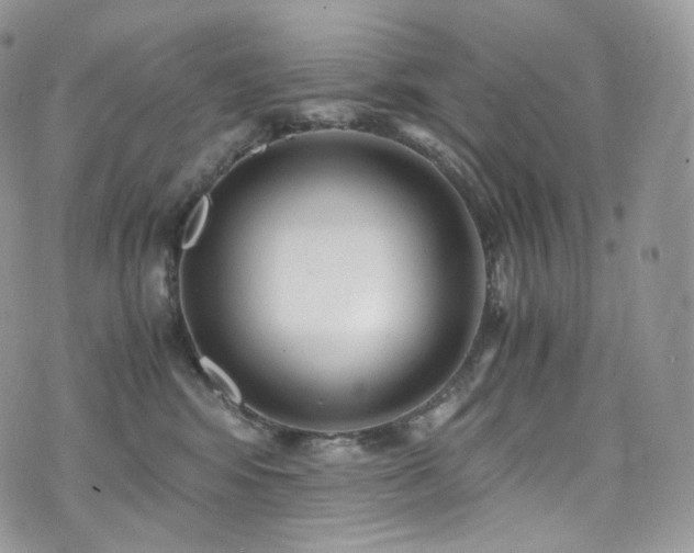 X0000073920424200608111227