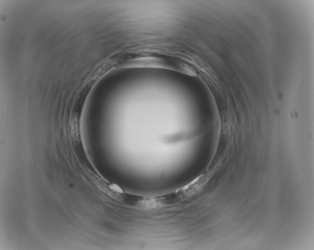 X0000073920425200608111227