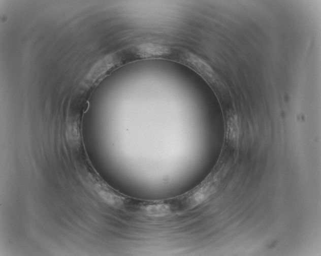 X0000073920426200608111227