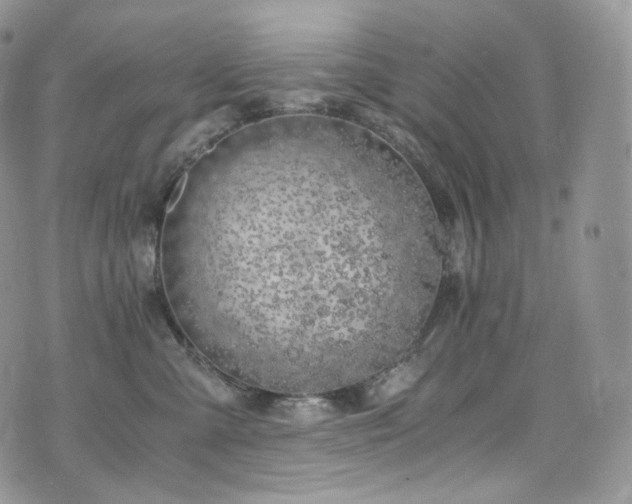 X0000073920427200608111227