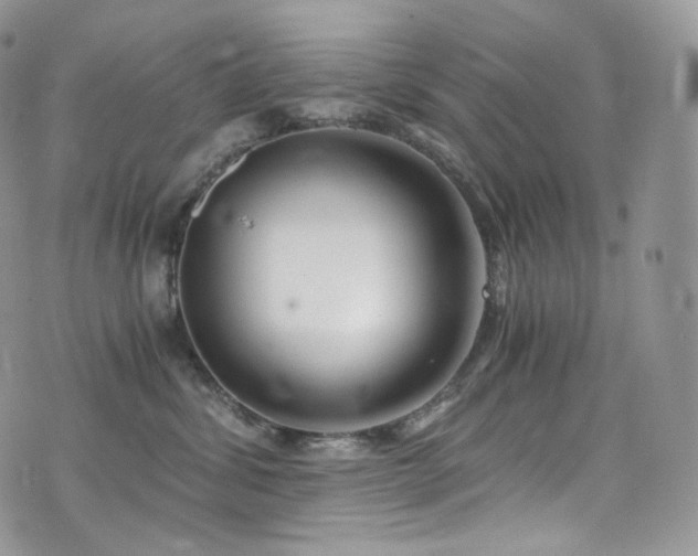 X0000073920428200608111227