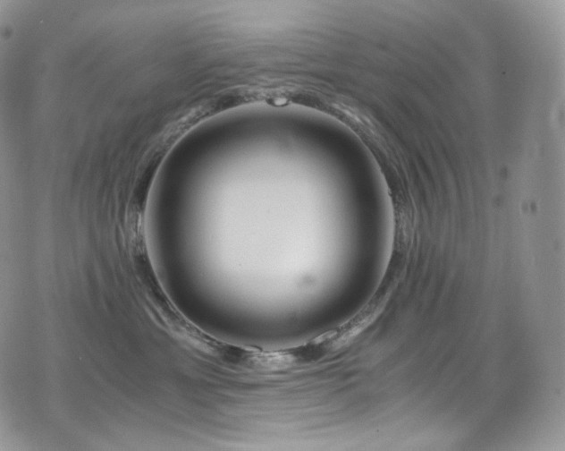 X0000073920429200608111227