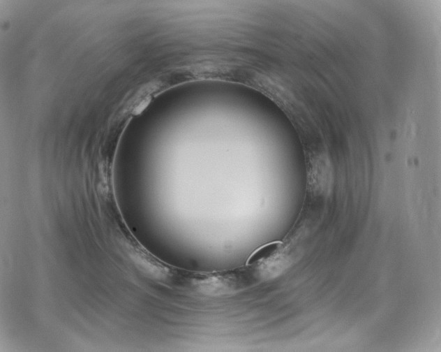 X0000073920430200608111227