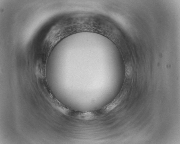 X0000073920431200608111227