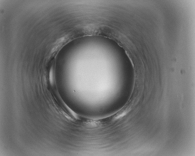 X0000073920432200608111227