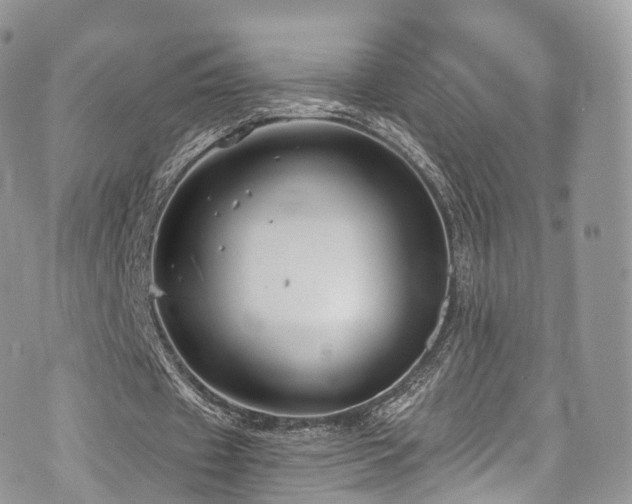 X0000073920433200608111226