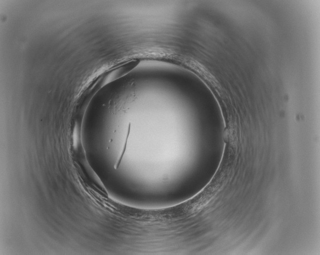 X0000073920434200608111226