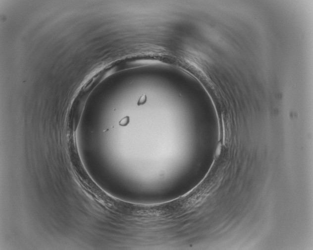 X0000073920435200608111226