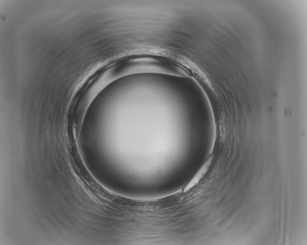 X0000073920436200608111226