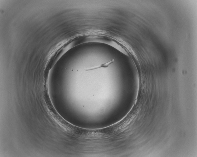 X0000073920437200608111226