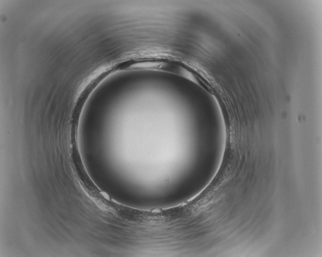 X0000073920438200608111226