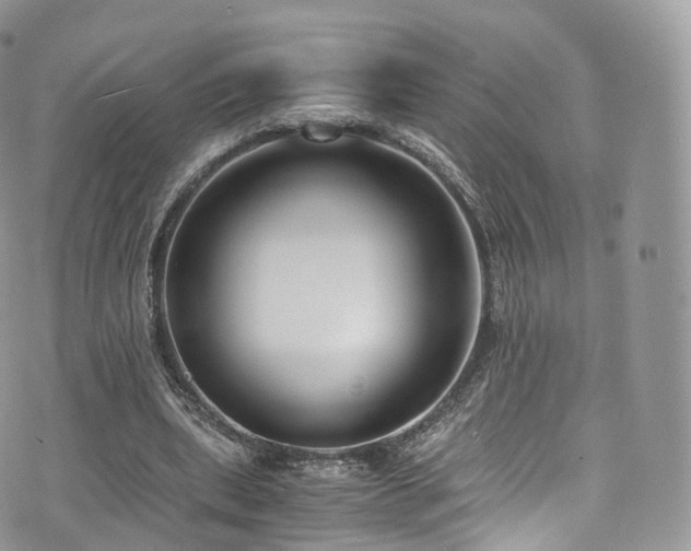 X0000073920439200608111226