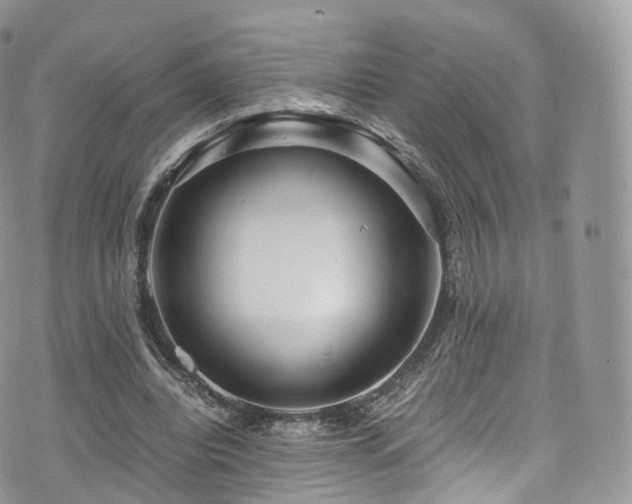 X0000073920440200608111226