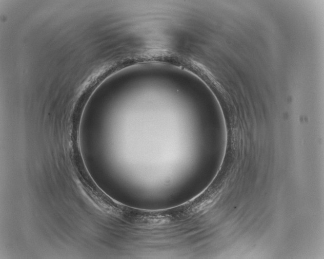 X0000073920443200608111226