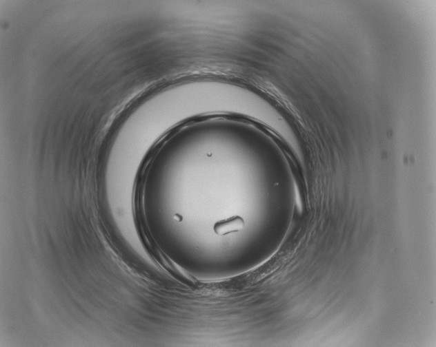 X0000073920444200608111226