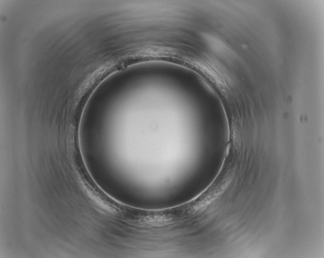 X0000073920445200608111226