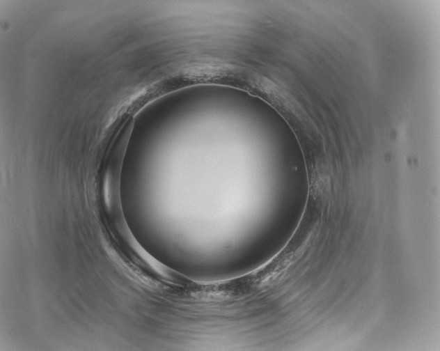 X0000073920448200608111226