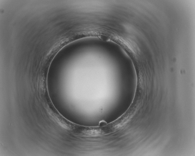 X0000073920449200608111226