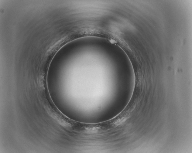 X0000073920450200608111227